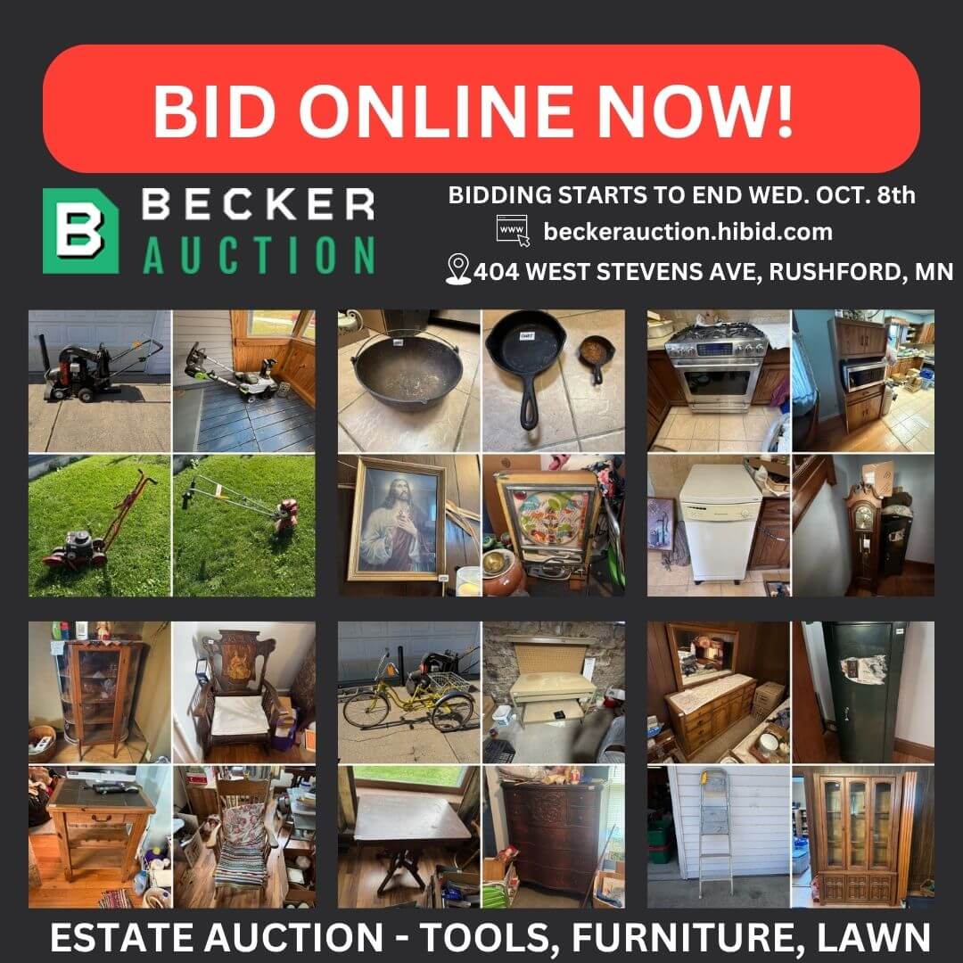auction item image