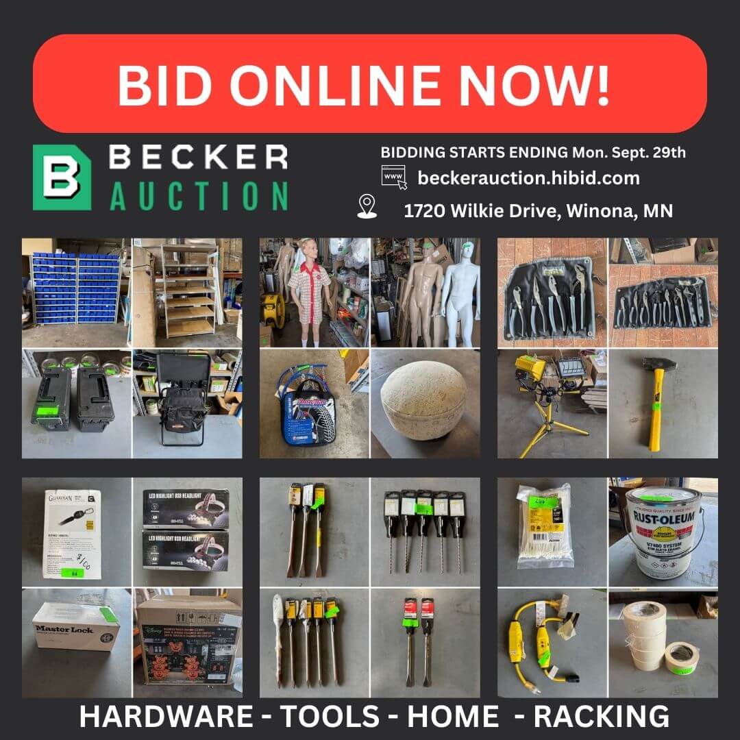 auction item image