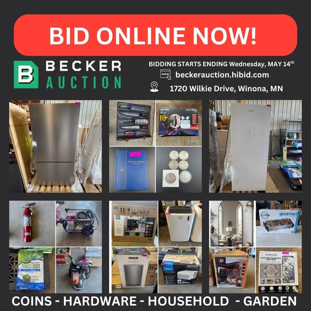 auction item image
