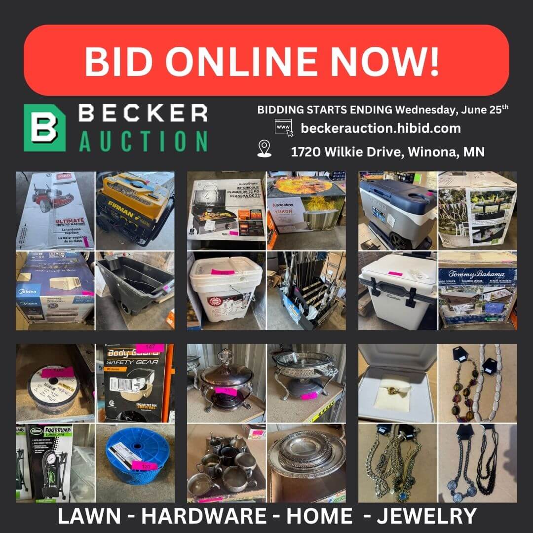 auction item image