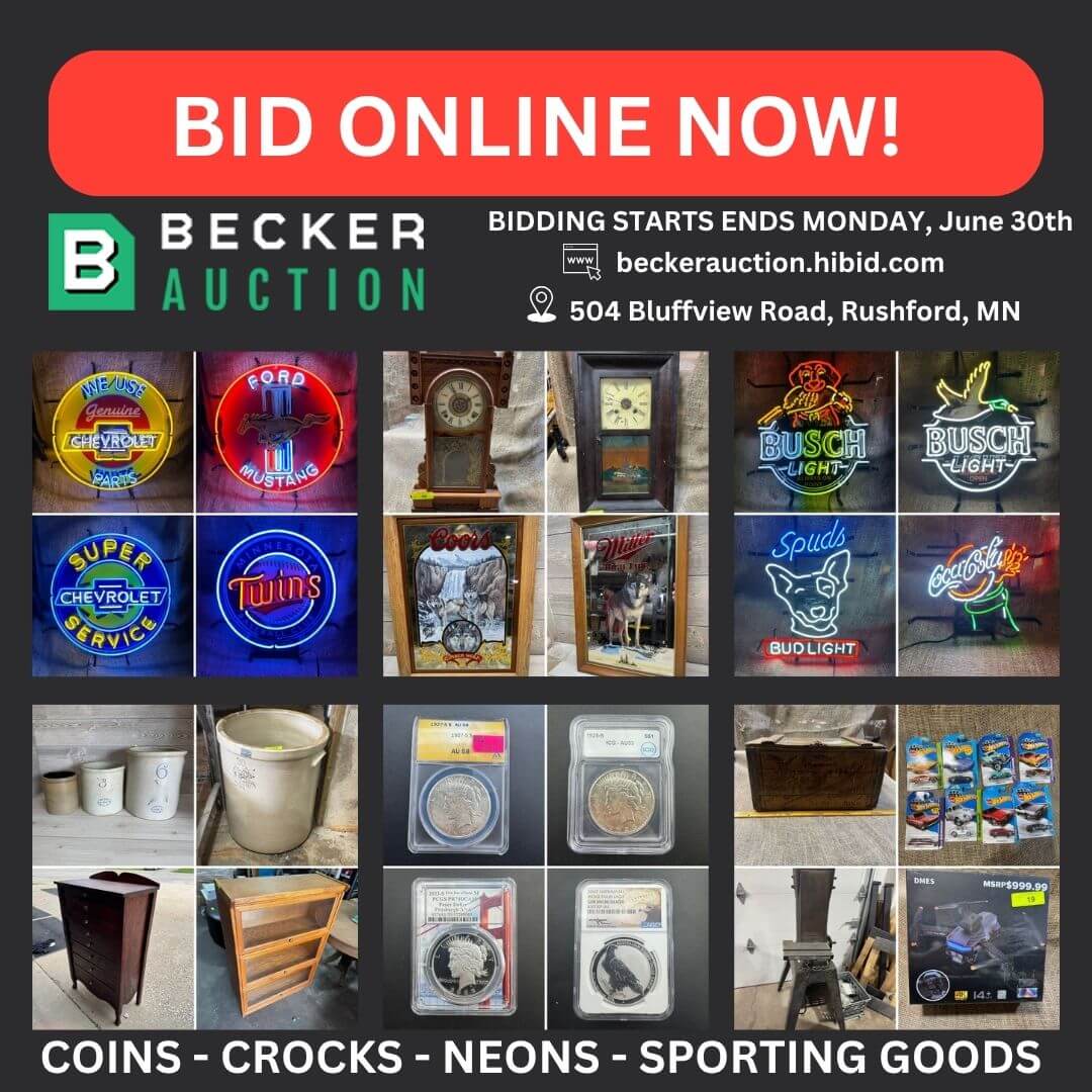 auction item image