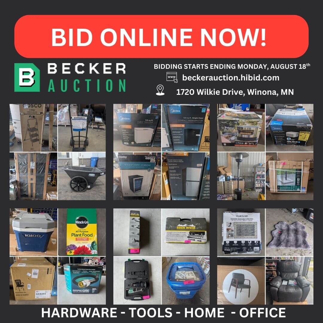 auction item image