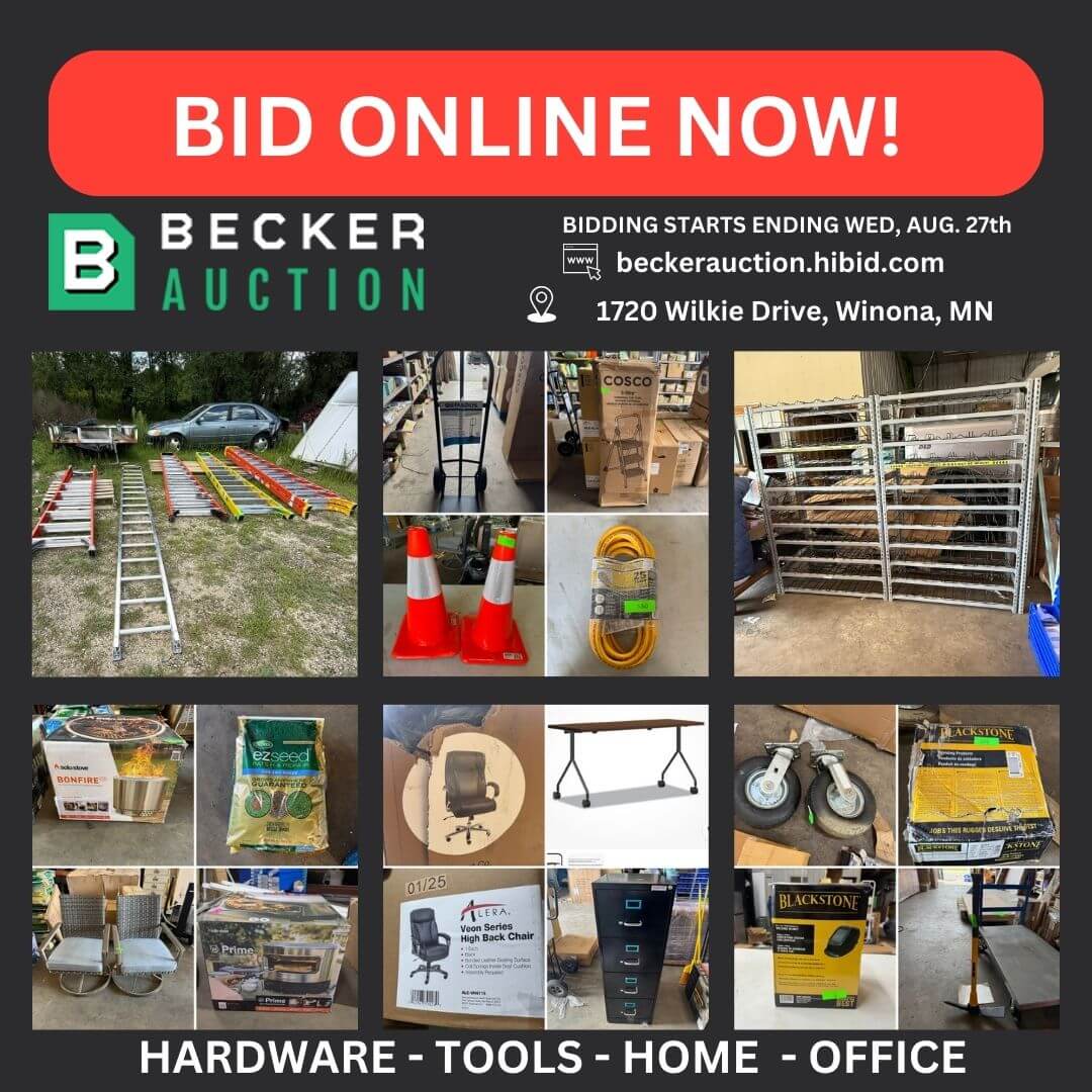 auction item image