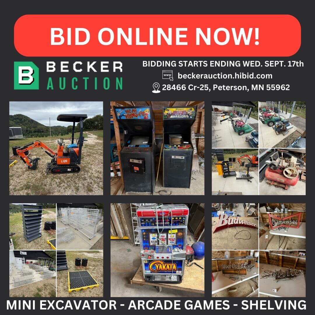 auction item image