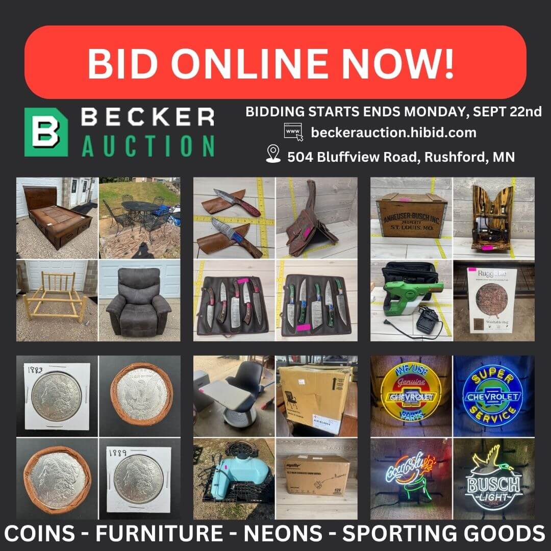auction item image