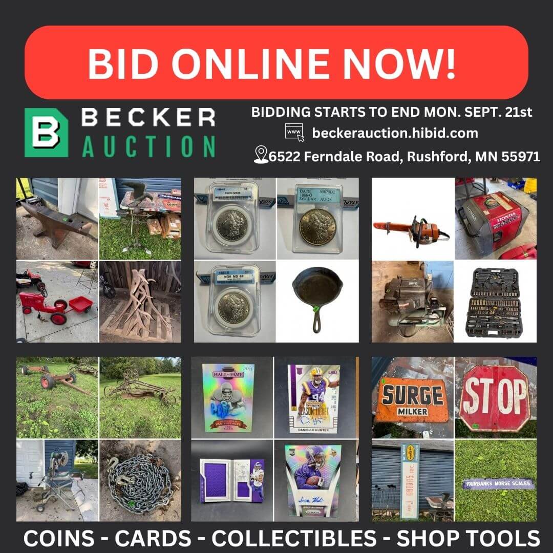 auction item image